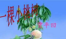 记忆中的小桃树