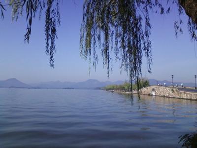 绿杨音丽白沙地