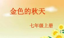 金色的七年级