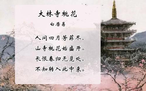 “大林寺桃花开”之谜