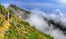 柏乐园的“惊险”之旅