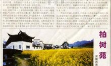 第一等好事只是读书