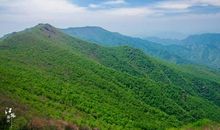 秋天我想对你说