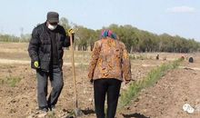 美丽的康保我的家