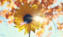 在拼搏的日子里