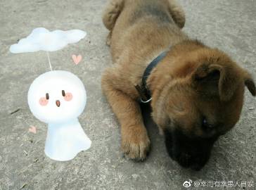 幸运的是有红薯粥