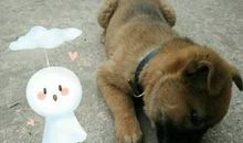 幸而还有白薯粥