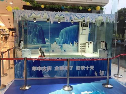 参观海洋生物展览
