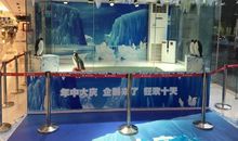 参观海洋生物展览