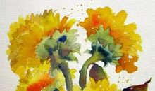 像阳光一样温暖