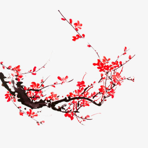 梅花在角落里
