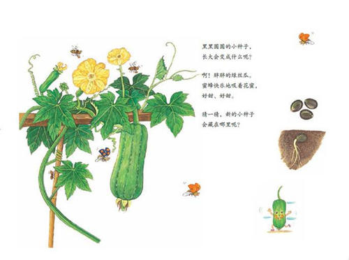 绿芽的启示