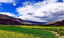 走过记忆中的那片土地