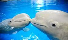 冬天中的一件小事