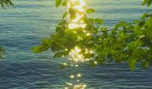 别让人生徒留遗憾