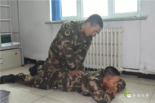 不能忘记我的狗