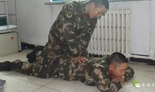 忘不了我家的狗