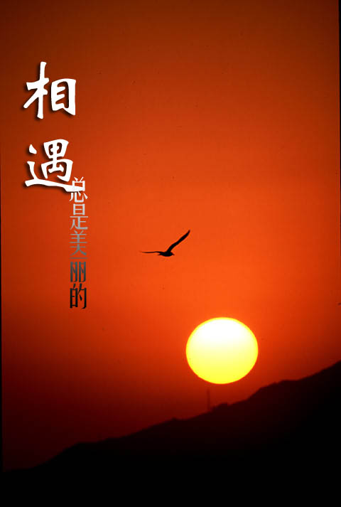 书，我失散已久的老朋友