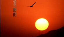 书，我久违的老朋友