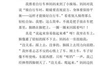 我学会了骑车作文500字