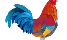 猫和公鸡的故事