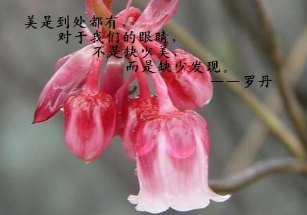 他抬头看起来很漂亮