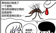我和蚊子之间的“决战”