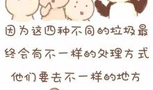 探寻垃圾的秘密