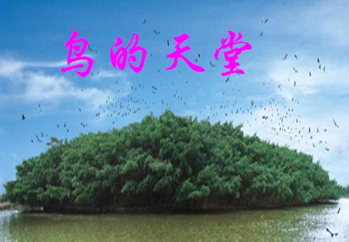 鸟的天堂模仿