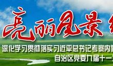 你是一道亮丽的风景作文600字