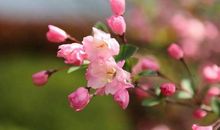 沉醉在诗情四溢的世界里