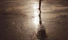 成功只眷顾勤奋的人