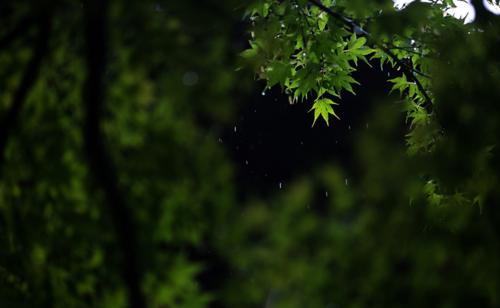 走过一场山雨