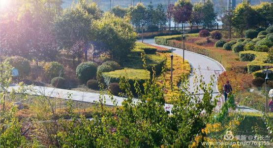 我爱家乡的森林公园