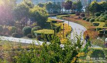 我爱家乡的森林公园