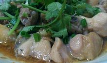 西红柿的说明文