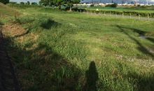 付出后总会有收获