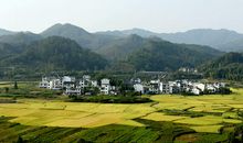 我和乡村有个约会