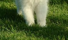 “天使”的笑脸