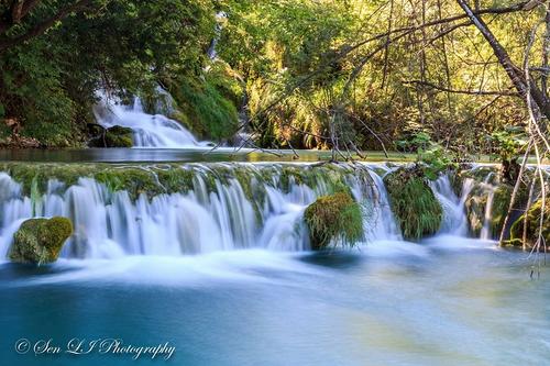 关于阅读《魔法自然》的思考