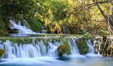 读《神奇自然》有感