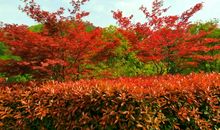 让人陶醉的故乡