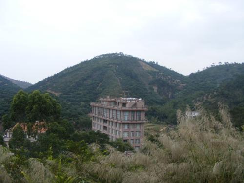 墓