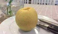 奶奶的冰糖雪梨