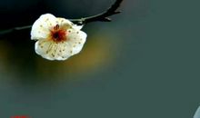 珍惜每一个微笑