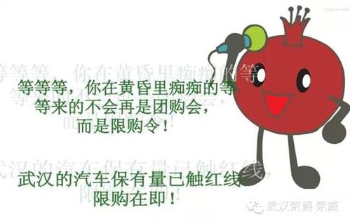 野猫让我轻轻地告诉你