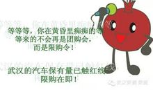 野猫让我轻轻告诉你