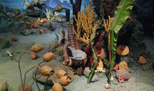 “与众不同”的妈妈