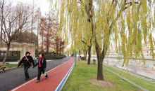 公园漫步，景依旧……