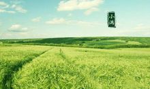 小满时节太阳雨